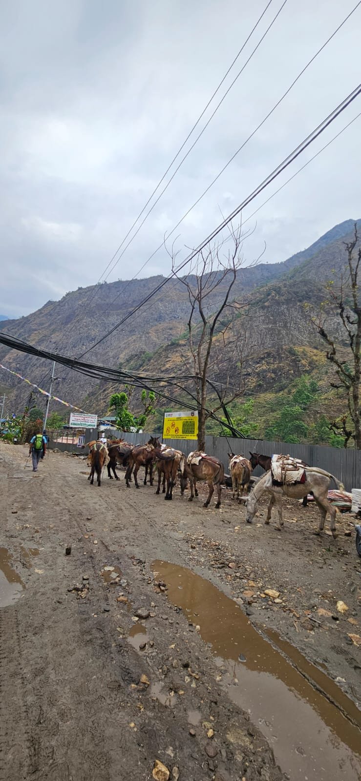 Trekking Tag 1