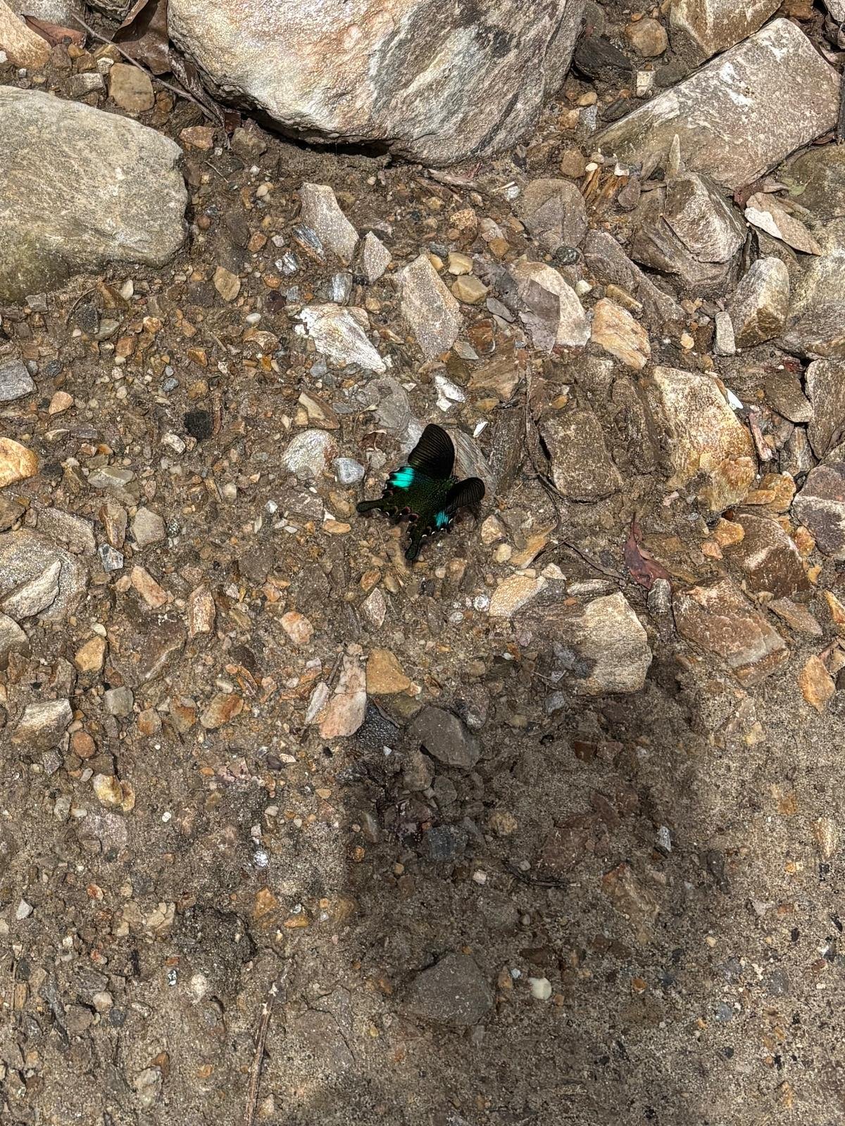 Trekking Tag 1
