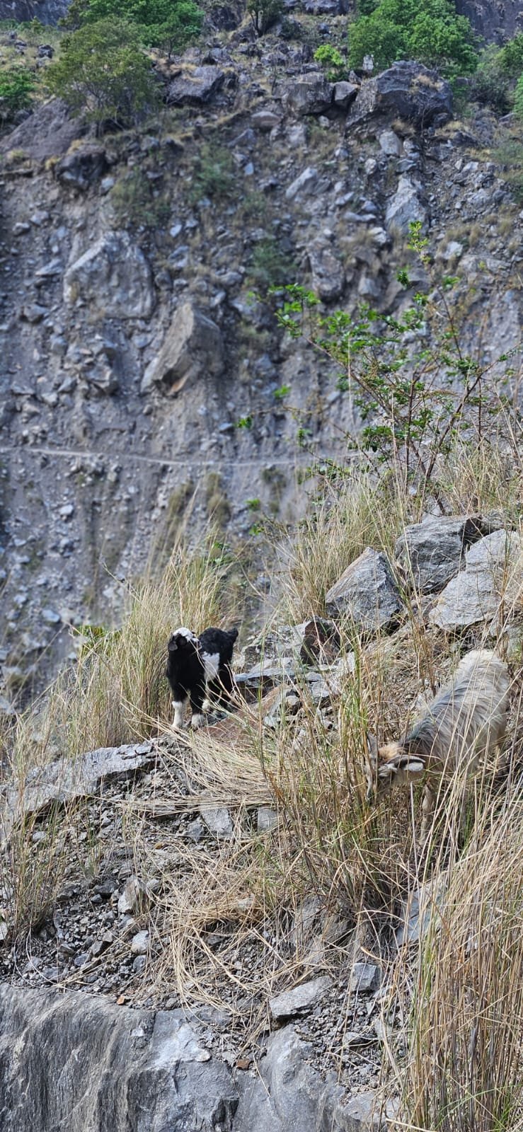Trekking Tag 1
