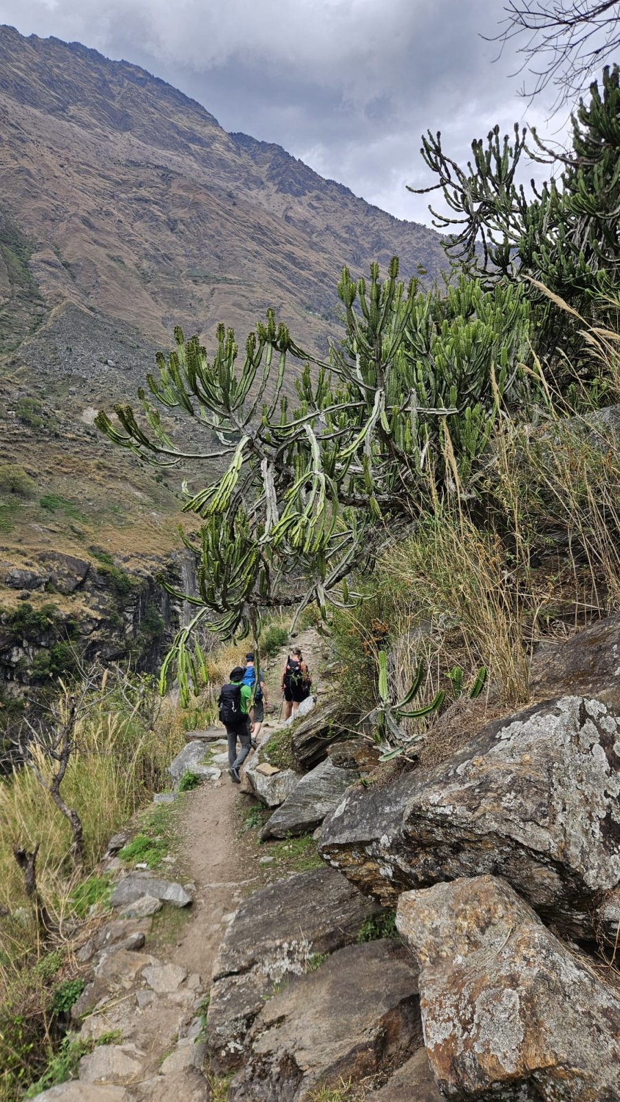 Trekking Tag 2