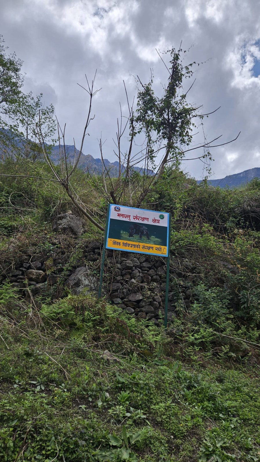 Trekking Tag 2
