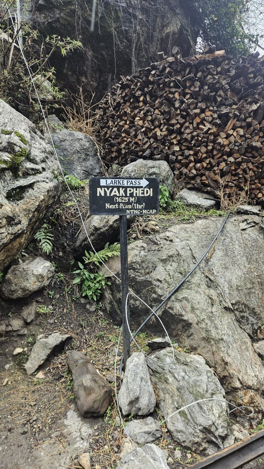 Trekking Tag 2