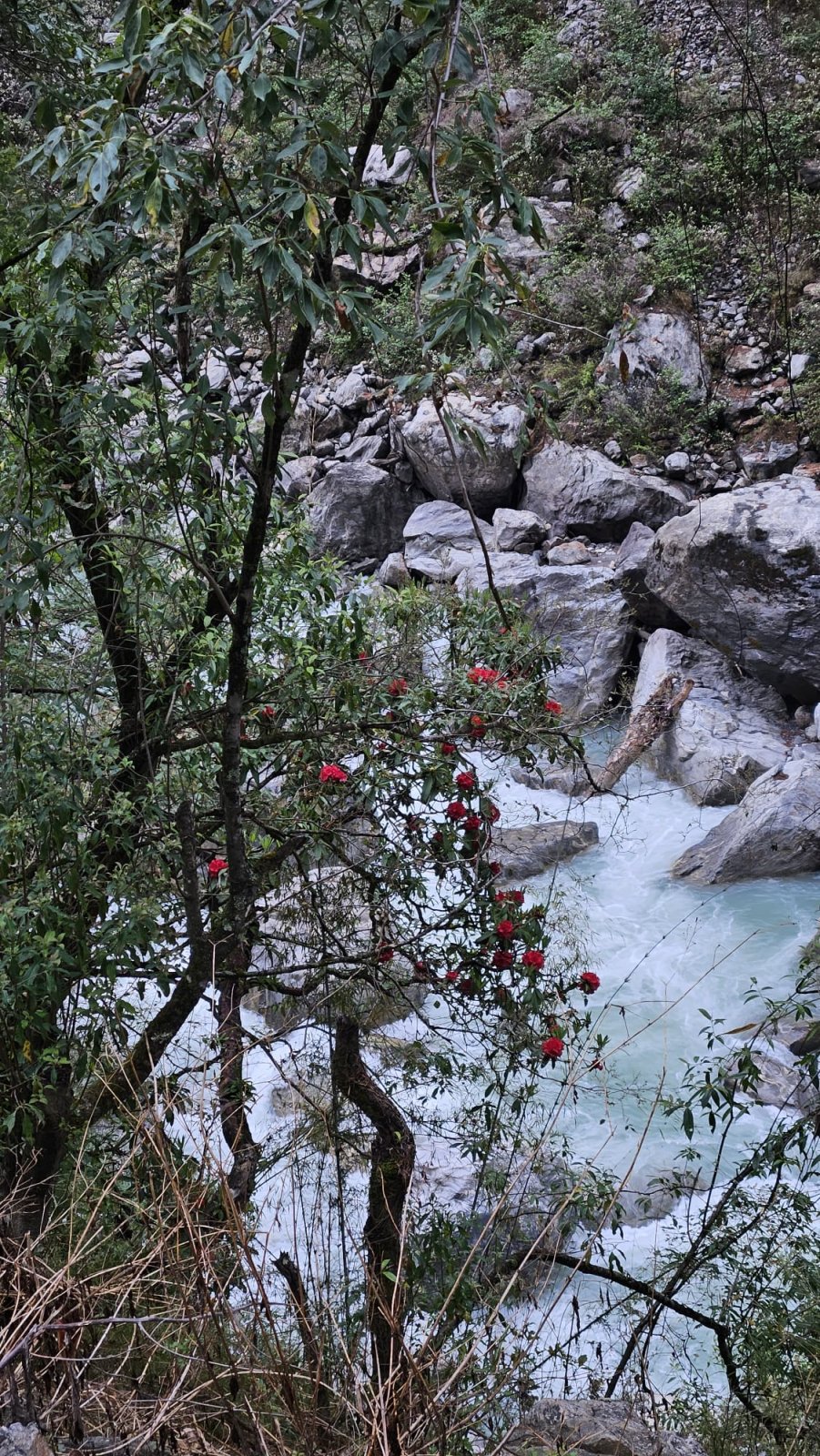Trekking Tag 2