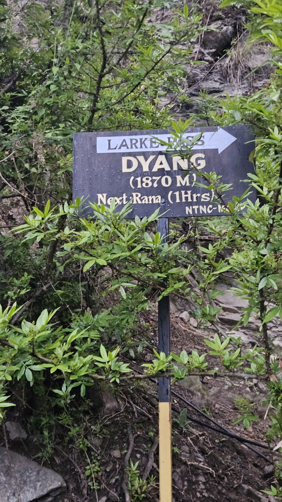 Trekking Tag 2