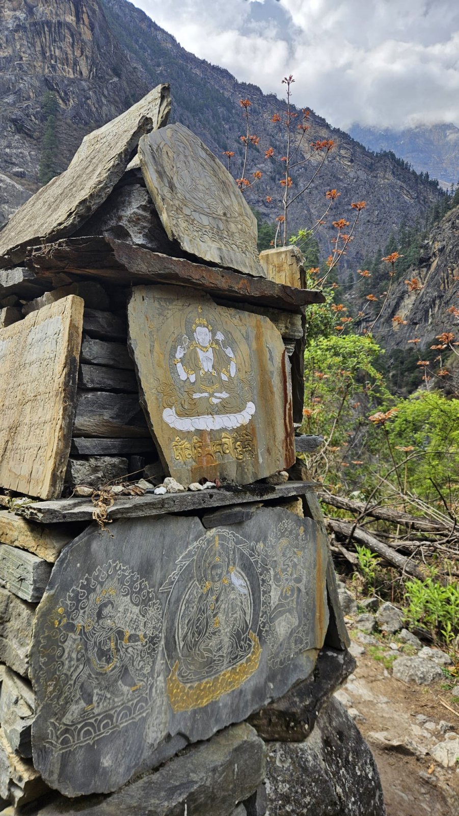 Trekking Tag 3