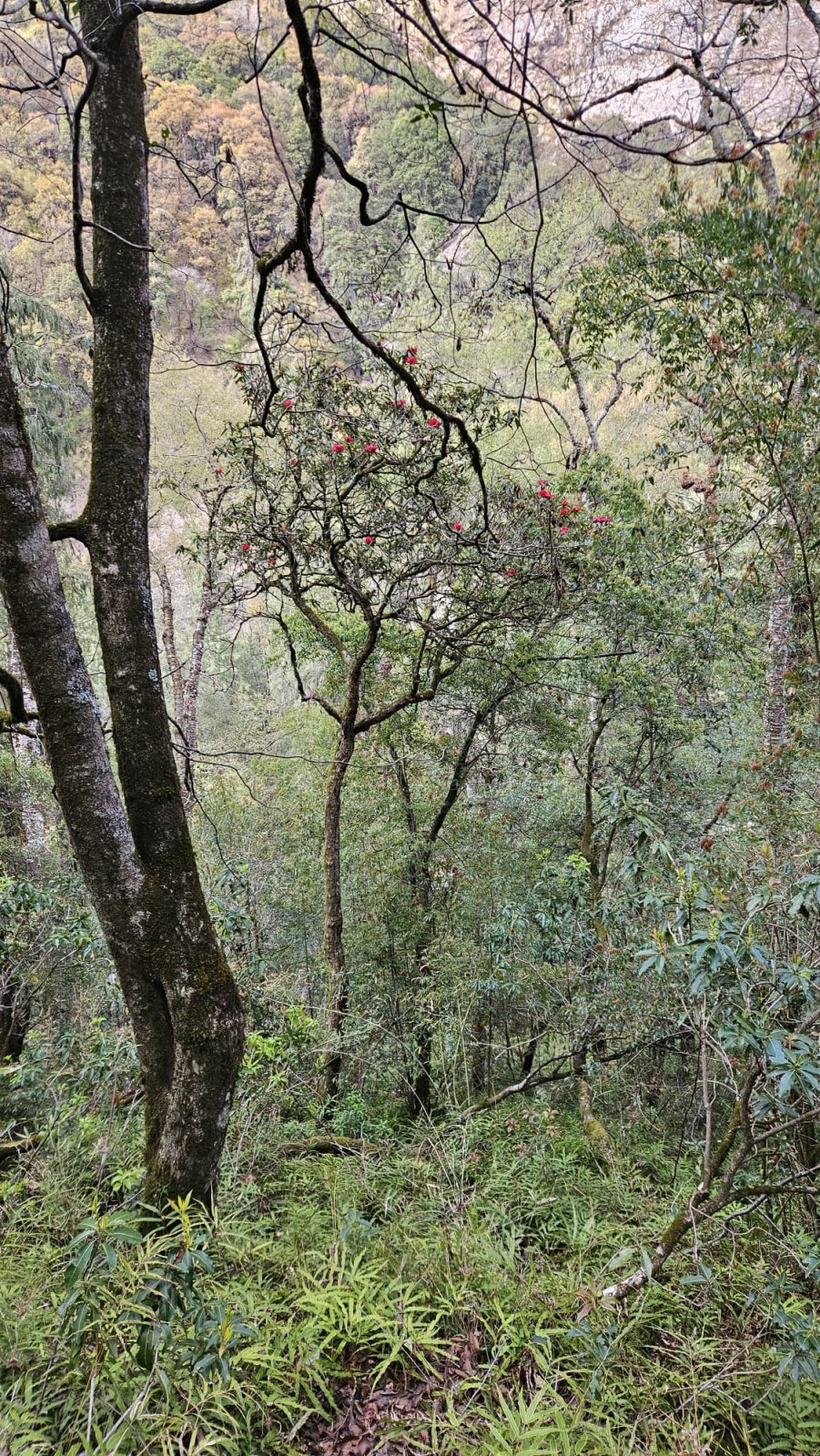 Trekking Tag 3