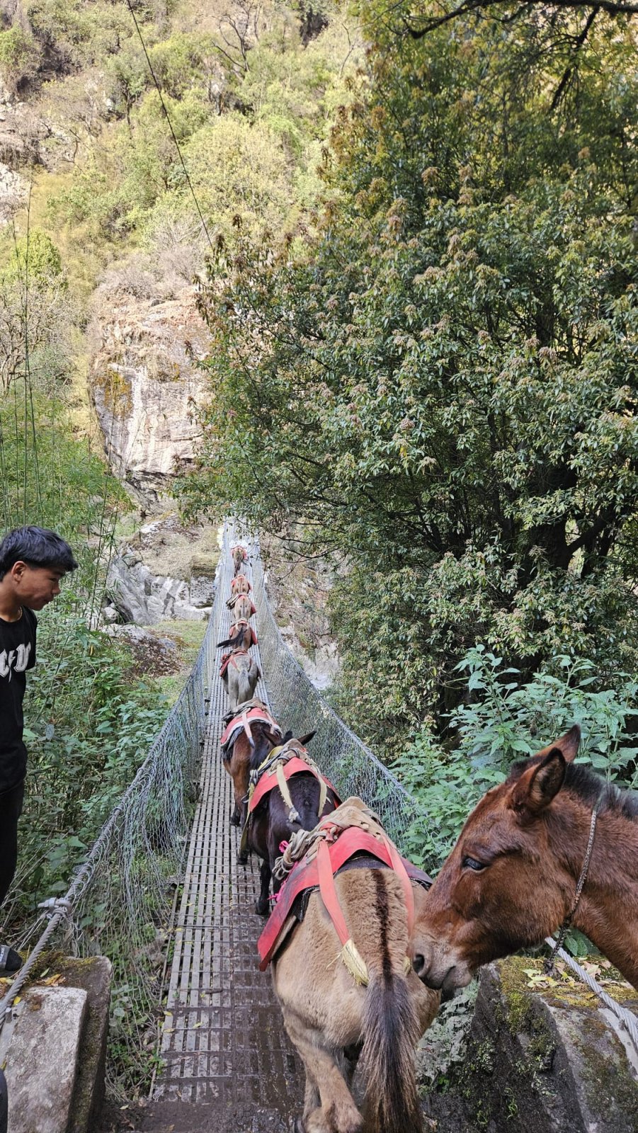 Trekking Tag 3