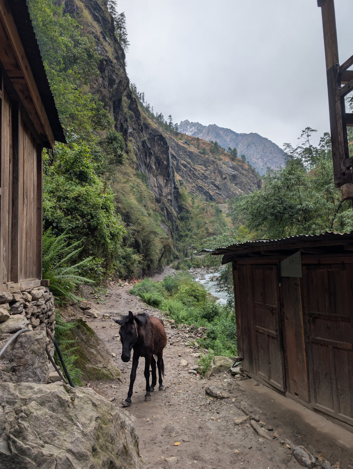 Trekking Tag 2