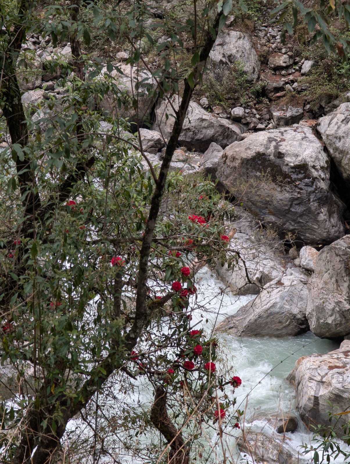 Trekking Tag 2