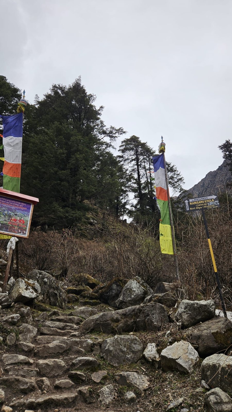 Trekking Tag 4