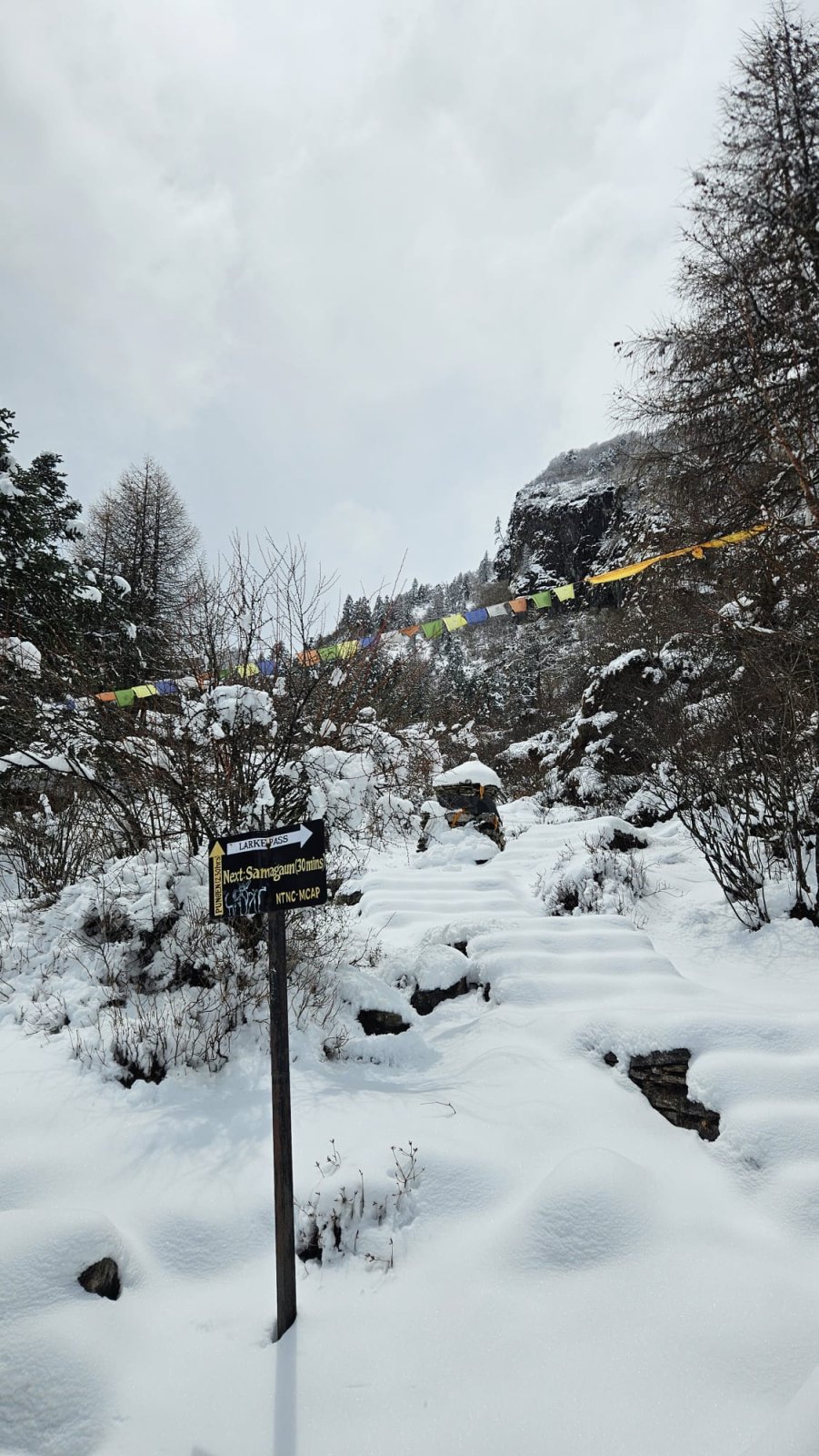 Trekking Tag 5