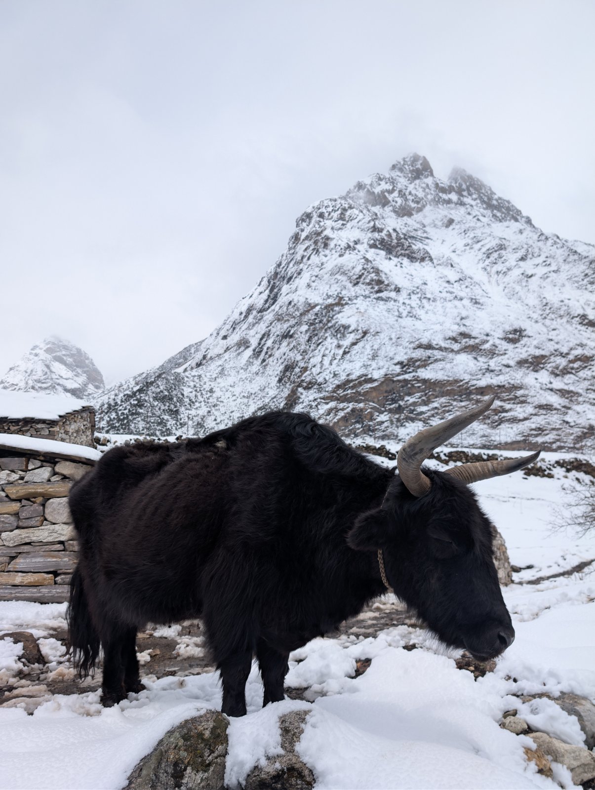 Trekking Tag 5