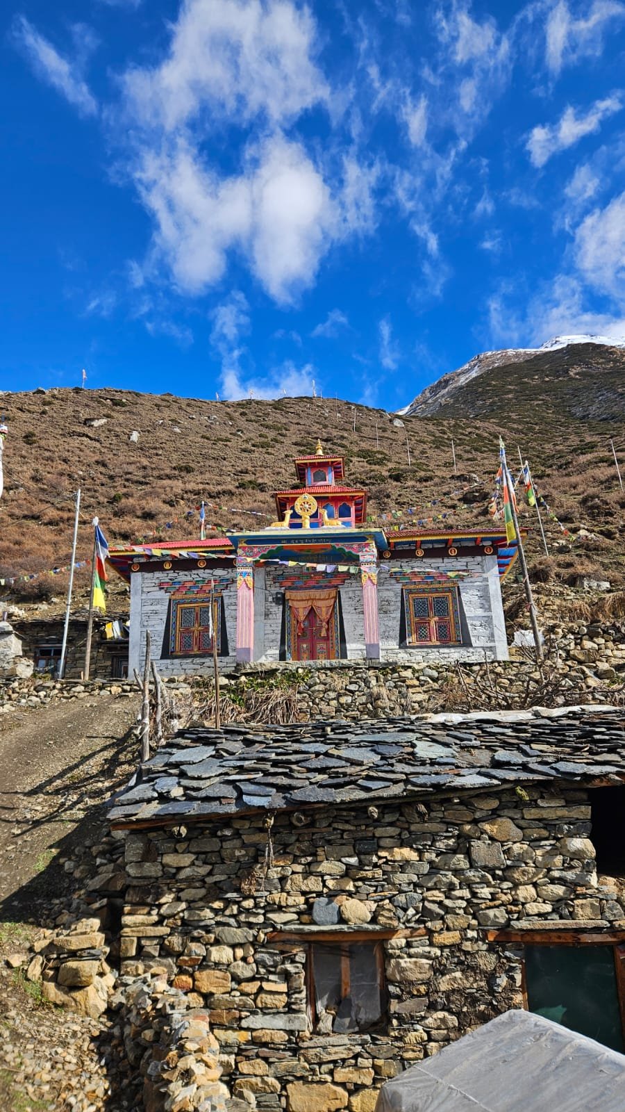 Trekking Tag 8