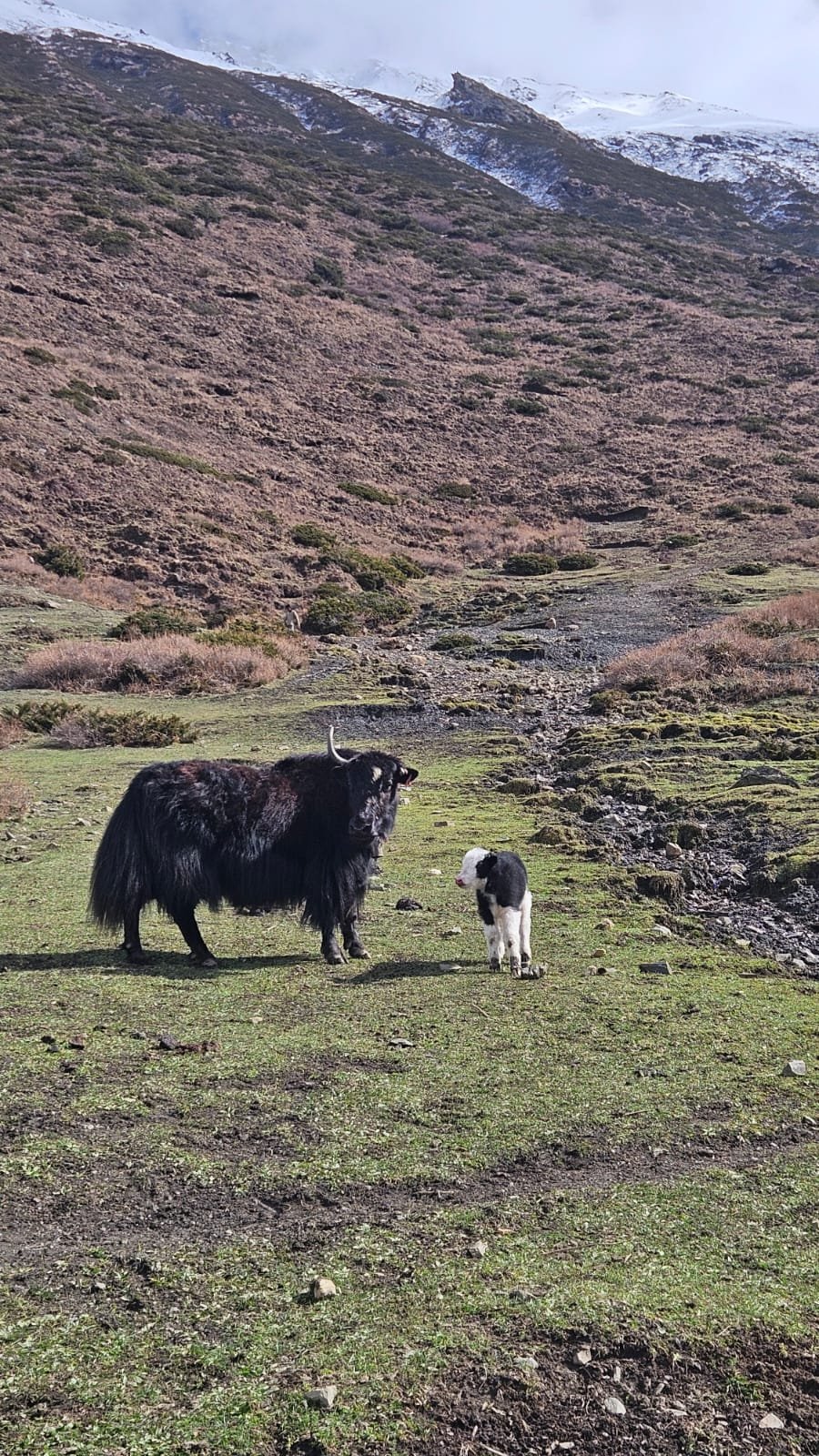 Trekking Tag 8