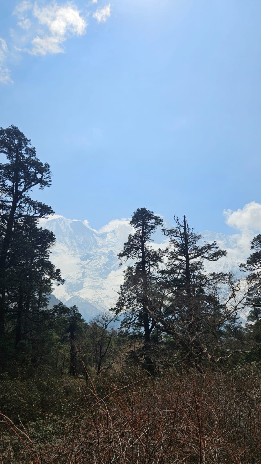 Abstieg von Bimthang über Goa nach Dharapani