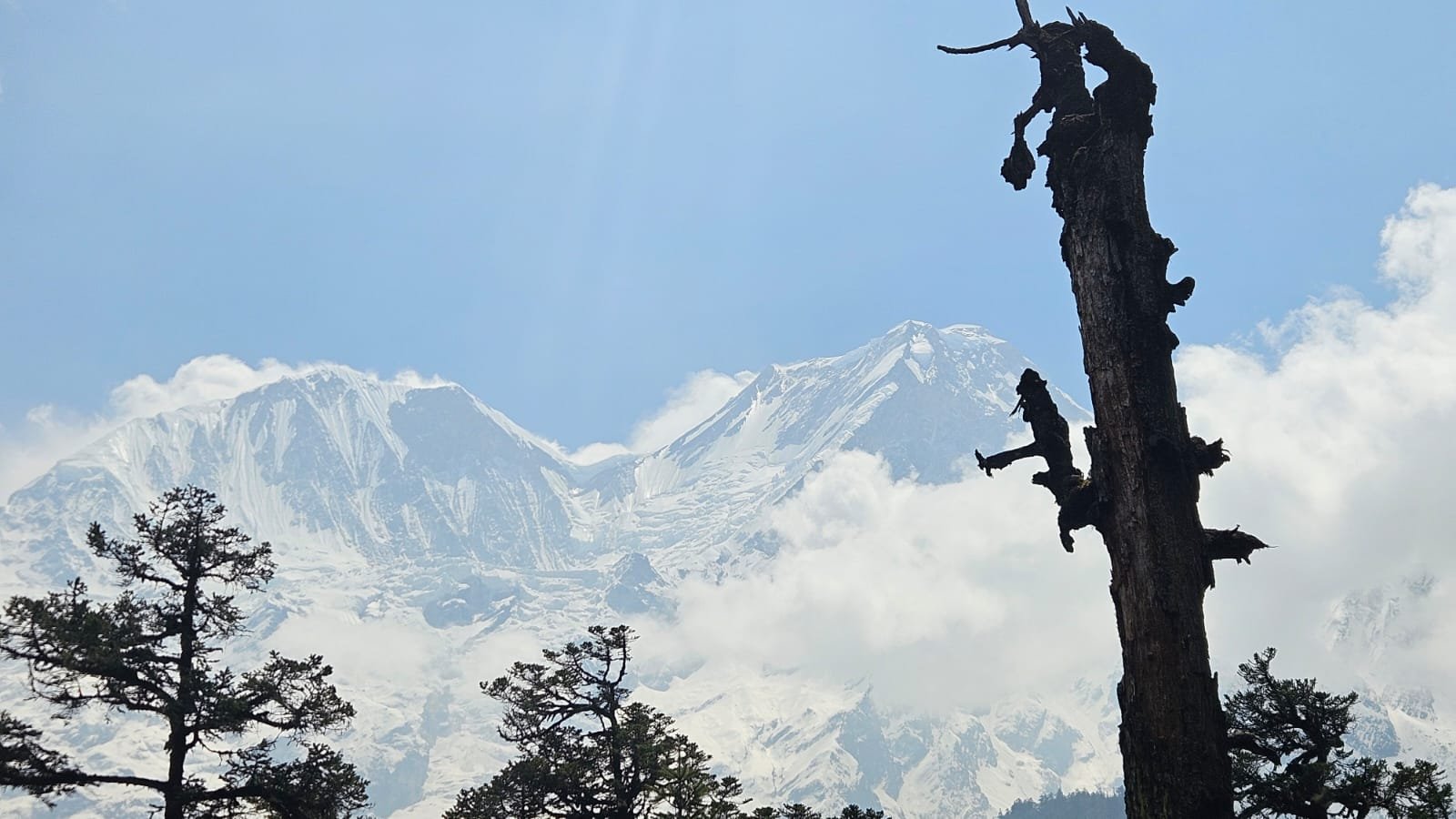 Abstieg von Bimthang über Goa nach Dharapani