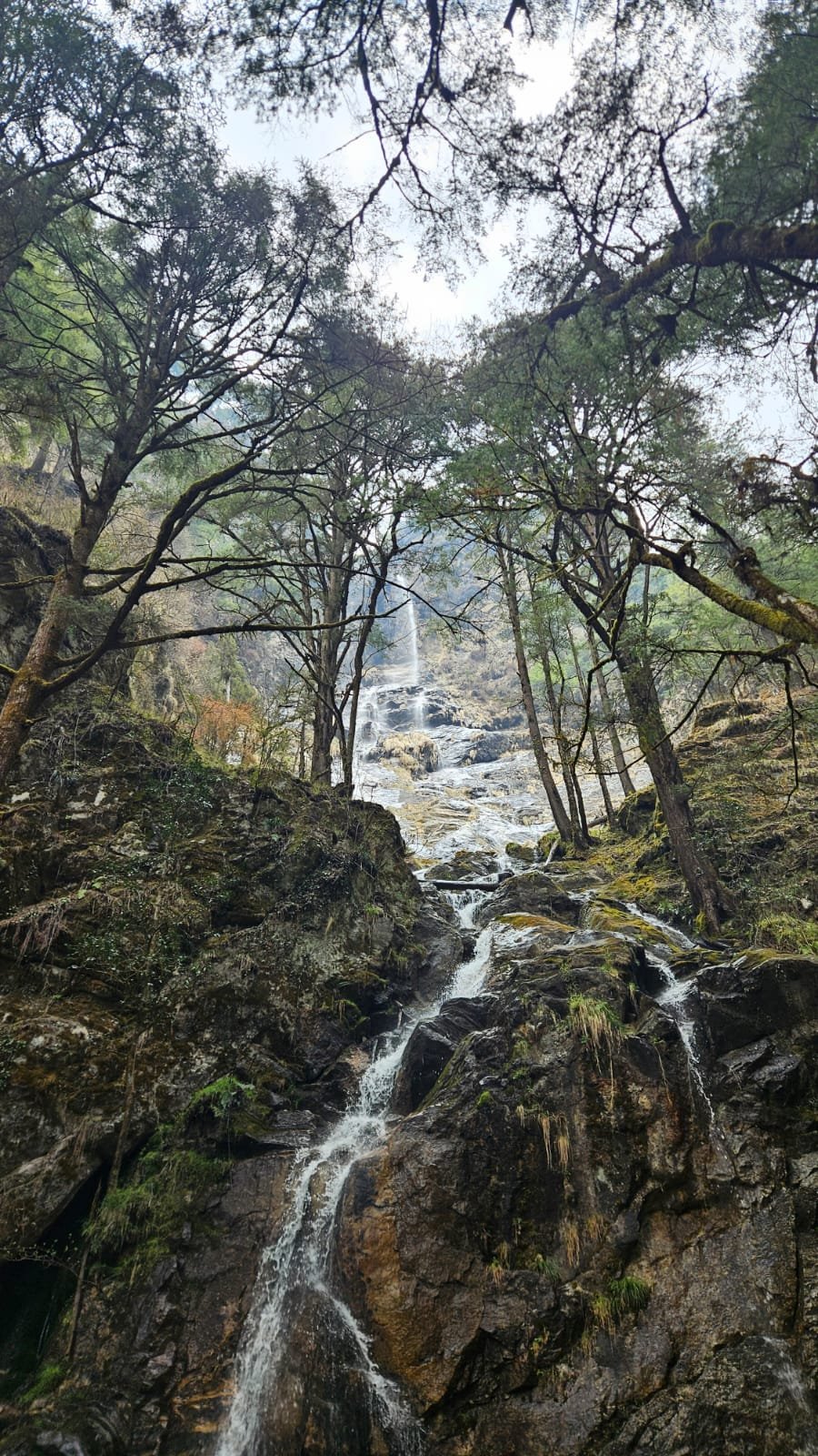 Abstieg von Bimthang über Goa nach Dharapani