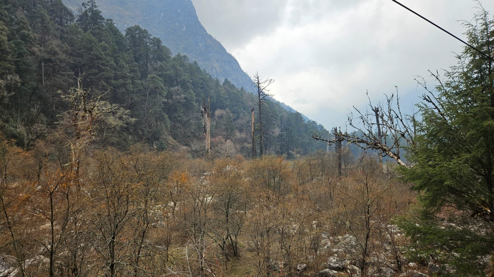 Abstieg von Bimthang über Goa nach Dharapani